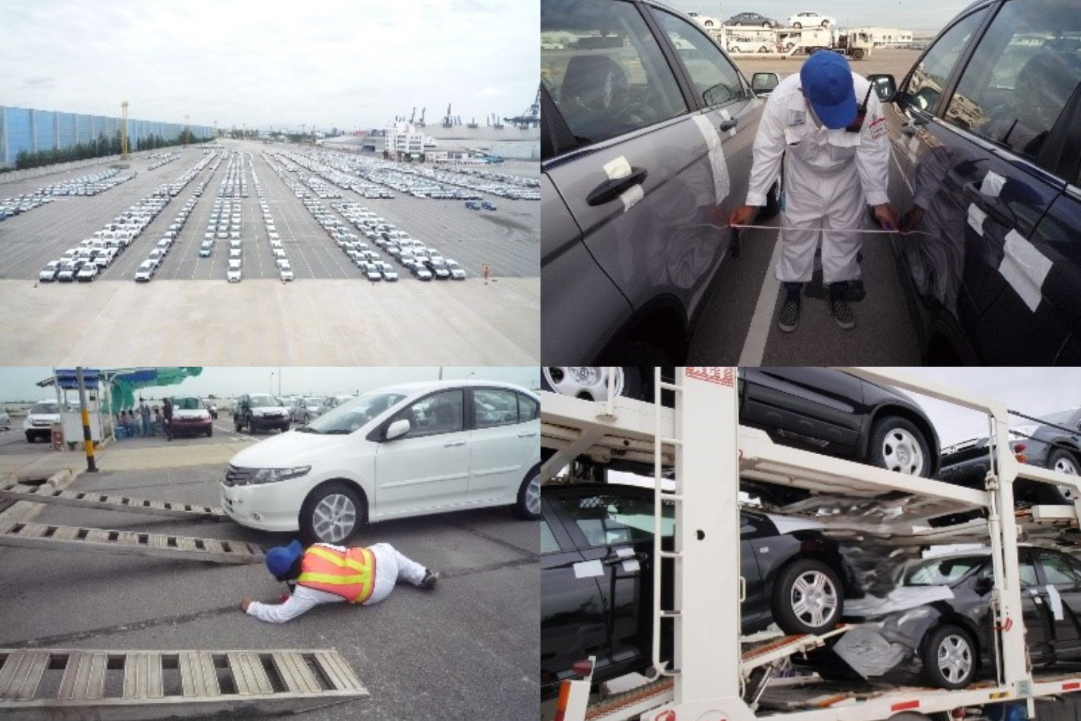 CBU, CKD Vehicles Survey