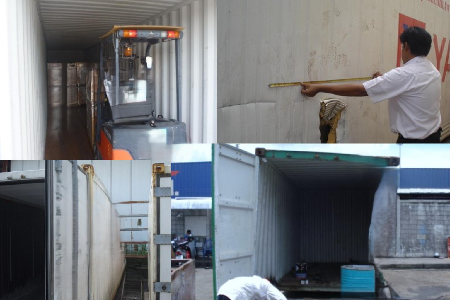 Shipping Container Survey
